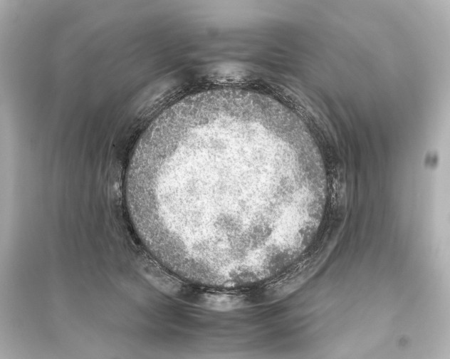 X0000093770561200711131214