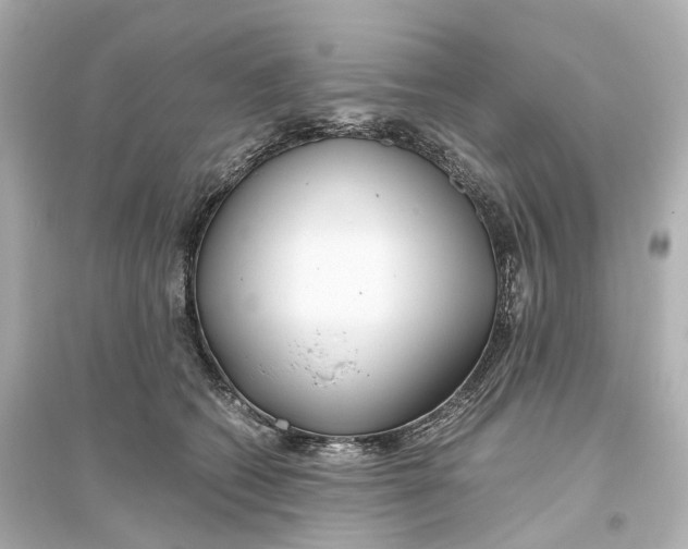 X0000093770562200711131214