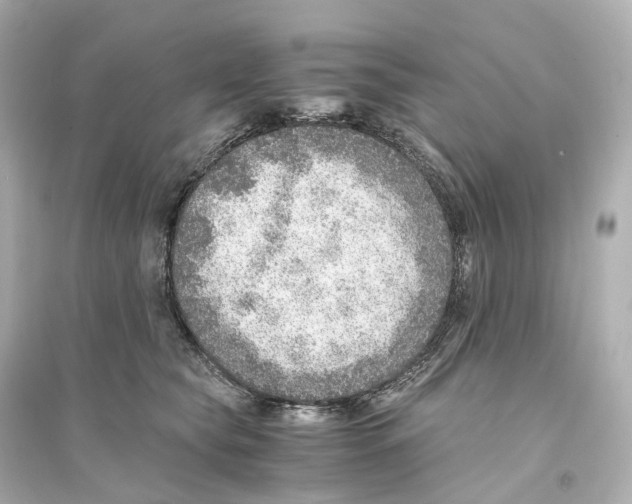 X0000093770565200711131214