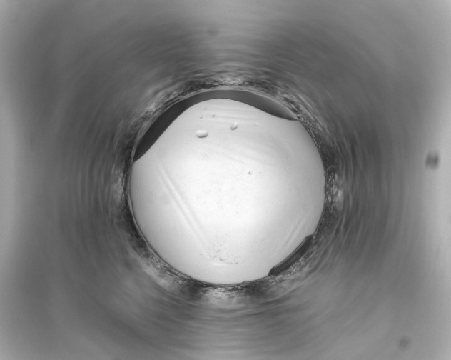 X0000093770568200711131214