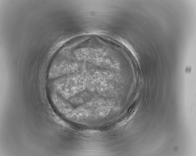 X0000093770577200711131214