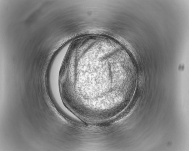 X0000093770581200711131214