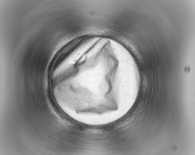 X0000093770582200711131214