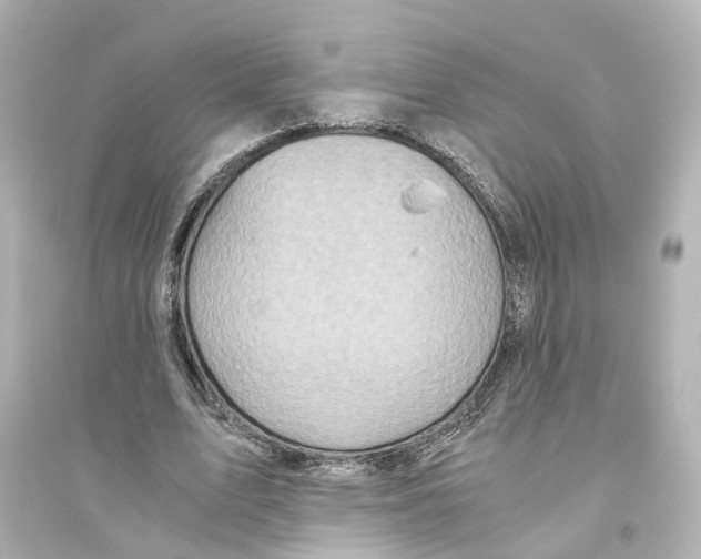 X0000093770583200711131214