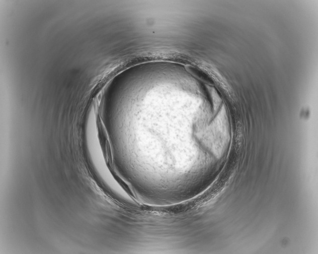 X0000093770585200711131214