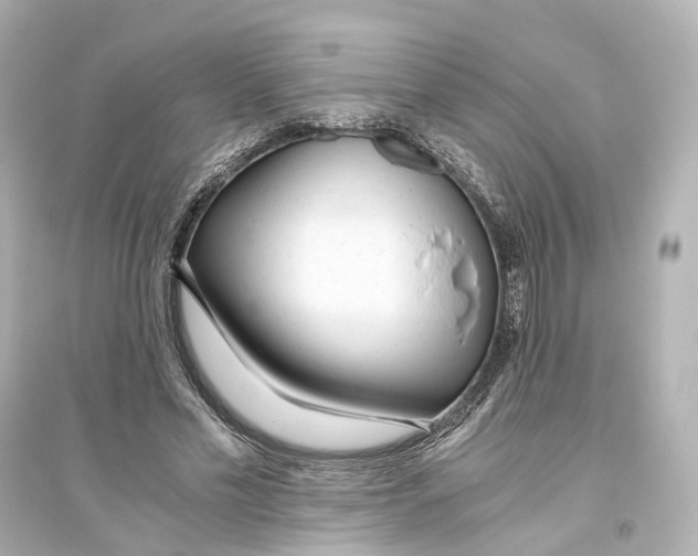 X0000093770589200711131213