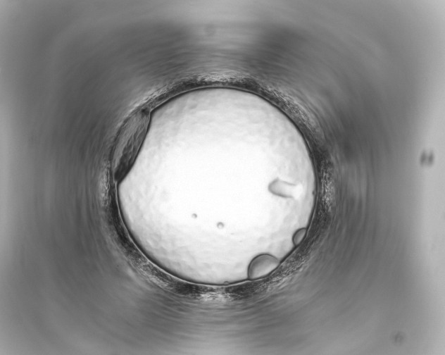 X0000093770591200711131213