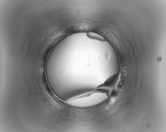 X0000093770593200711131213