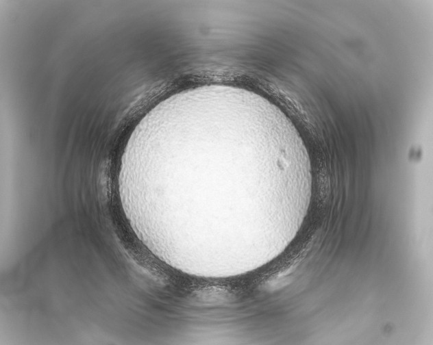 X0000093770594200711131213