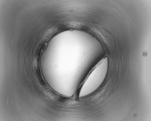 X0000093770597200711131213