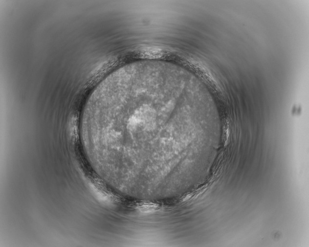 X0000093770598200711131213