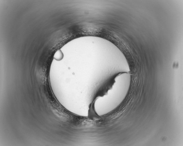 X0000093770599200711131213