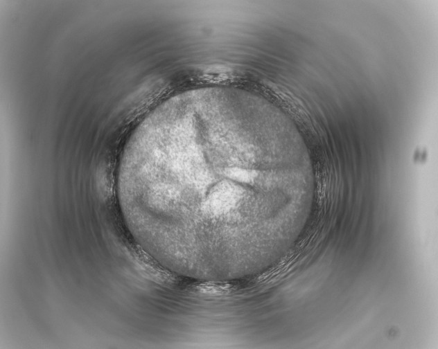 X0000093770606200711131213