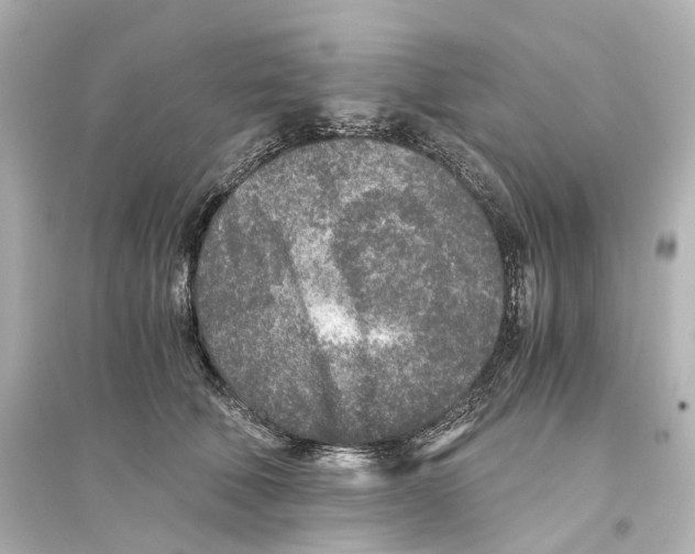 X0000093770610200711131213