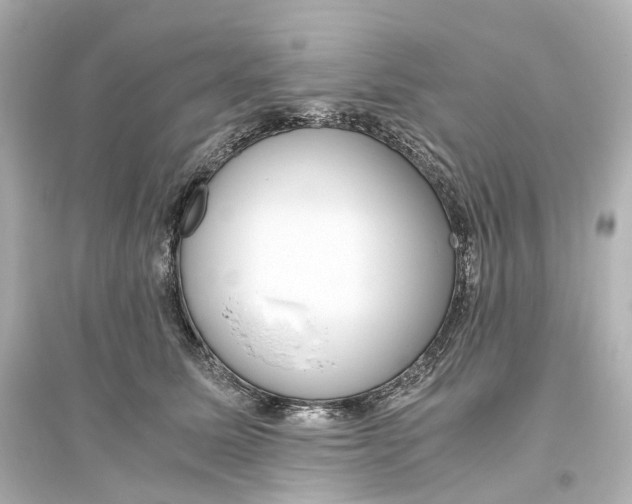 X0000093770611200711131213