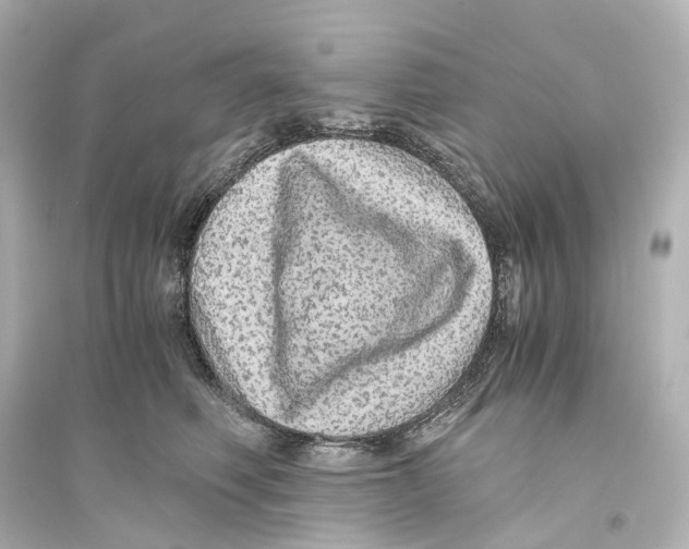 X0000093770614200711131213