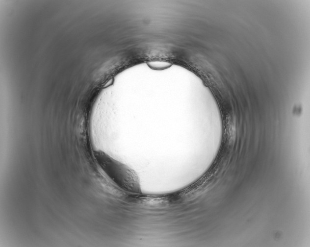 X0000093770619200711131213