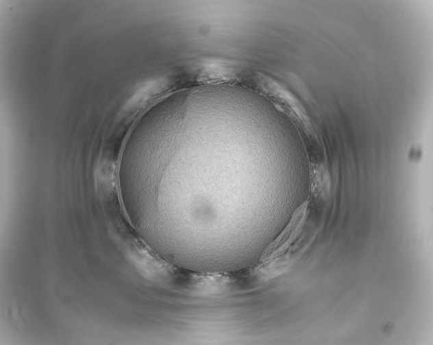 X0000093770621200711131213