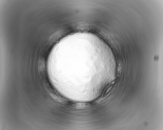 X0000093770623200711131213