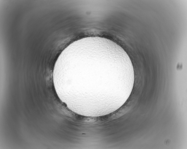 X0000093770624200711131213