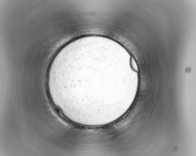 X0000093770625200711131212