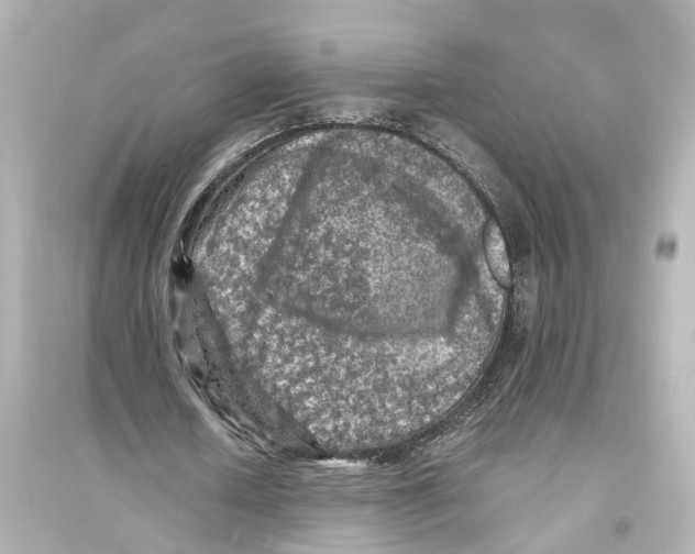 X0000093770626200711131212