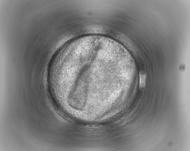 X0000093770627200711131212