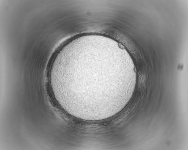 X0000093770628200711131212