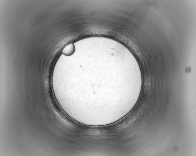 X0000093770629200711131212