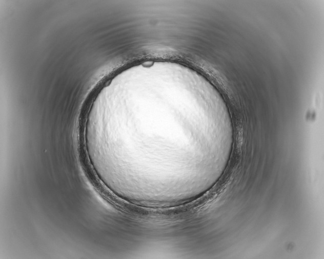 X0000093770630200711131212