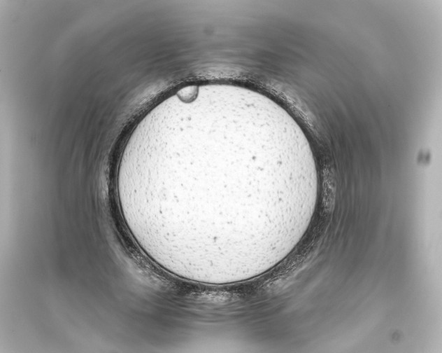 X0000093770631200711131212