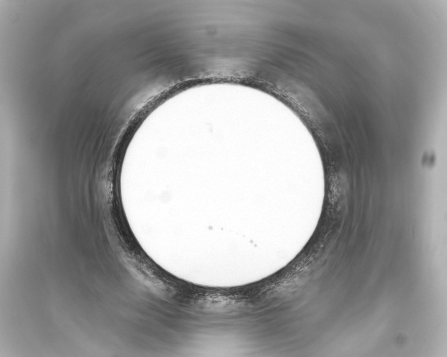 X0000093770632200711131212