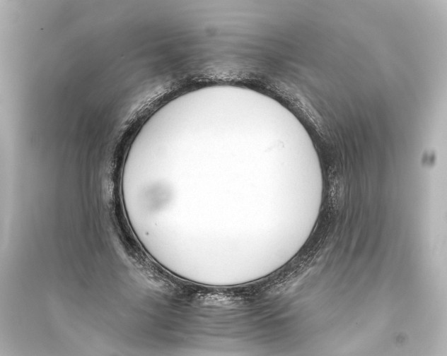 X0000093770635200711131212