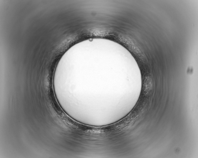 X0000093770639200711131212