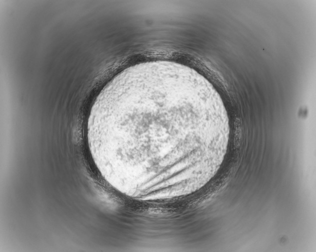 X0000093770641200711131212