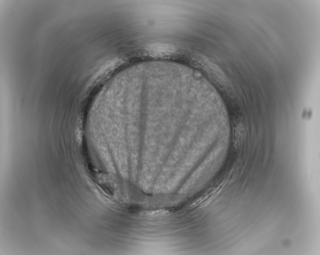 X0000093770644200711131212