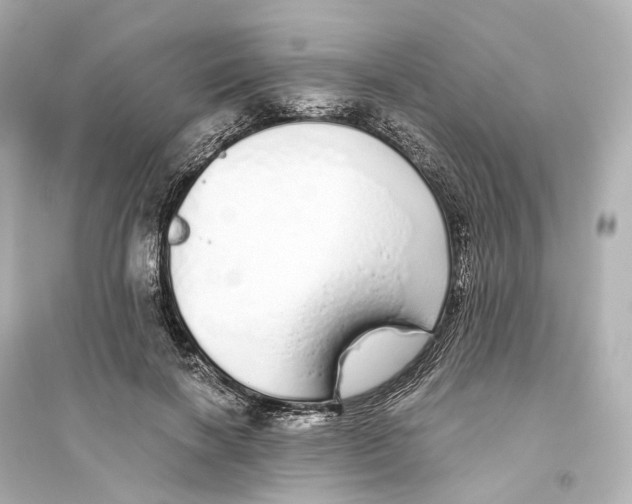 X0000093770646200711131212