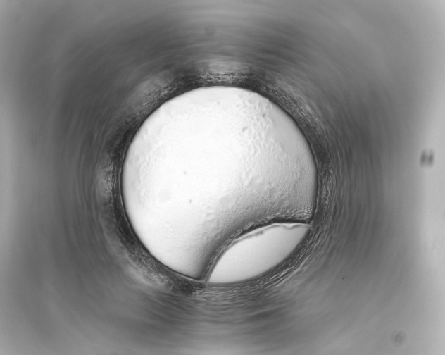 X0000093770647200711131212