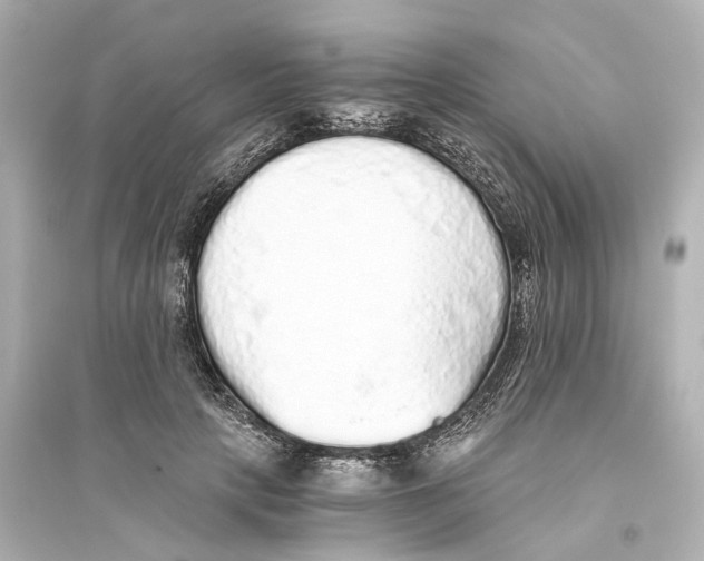 X0000093770649200711131212