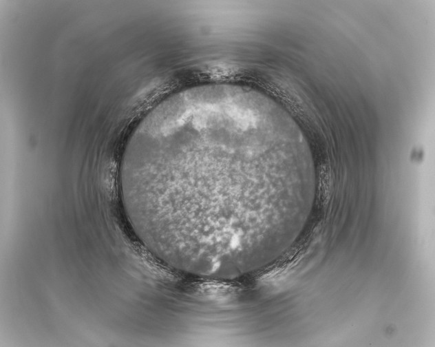 X0000093770650200711131213