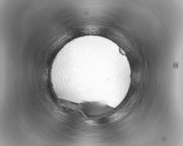 X0000093770652200711131213