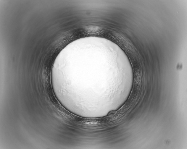 X0000093770653200711131213