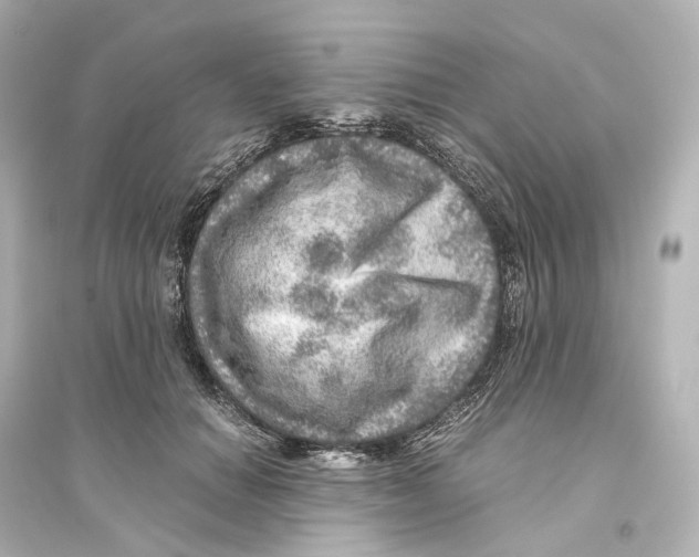 X0000093770654200711131213