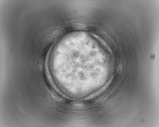 X0000093770658200711131213