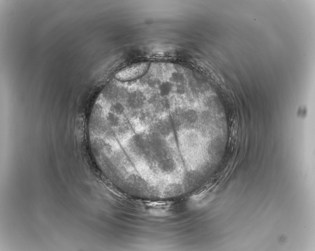 X0000093770659200711131213