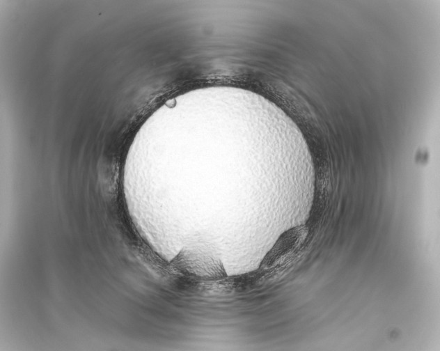 X0000093770660200711131213