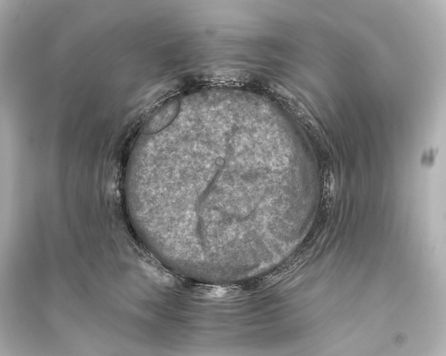 X0000093770663200711131213