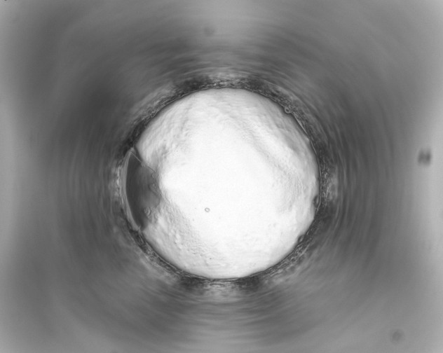 X0000093770666200711131213