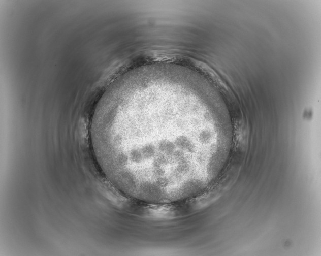 X0000093770667200711131213