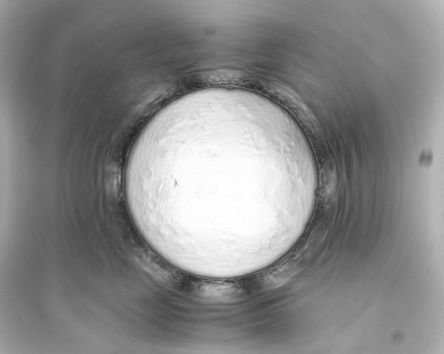 X0000093770669200711131213